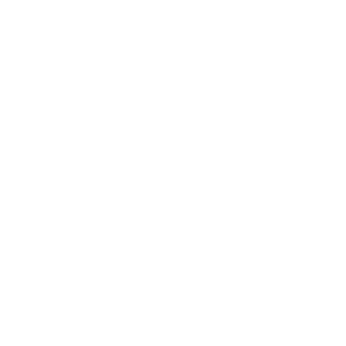 Catchbox Microphone